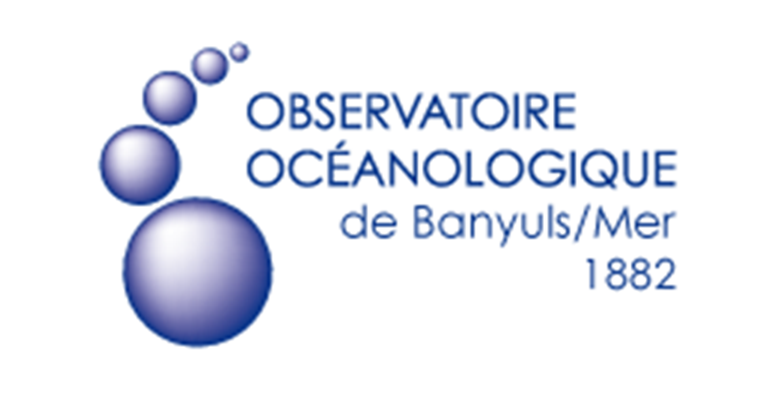 Oxomar report on biodegradation of plastics in the marine environment