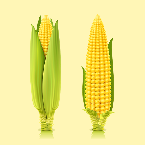 21 Reasons Why Compostable is not suitable ( in Spanish)
