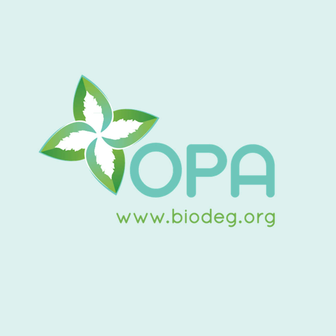 Un resumen: Plásticos en el medio ambiente