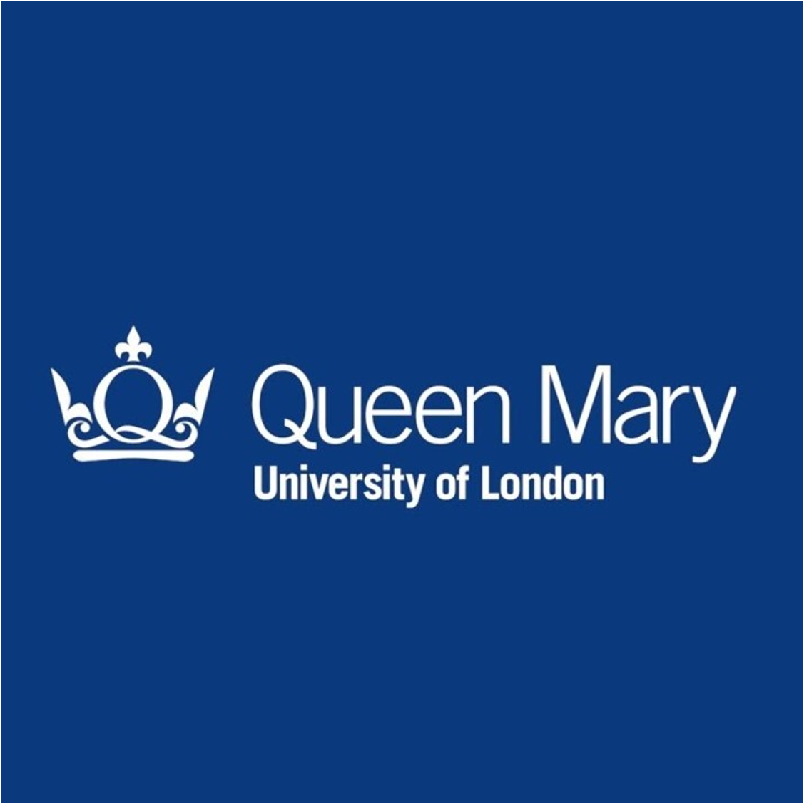 Queen Mary University London Report