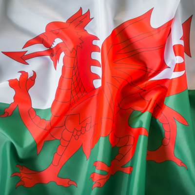 OPA response to Welsh Government Consultation