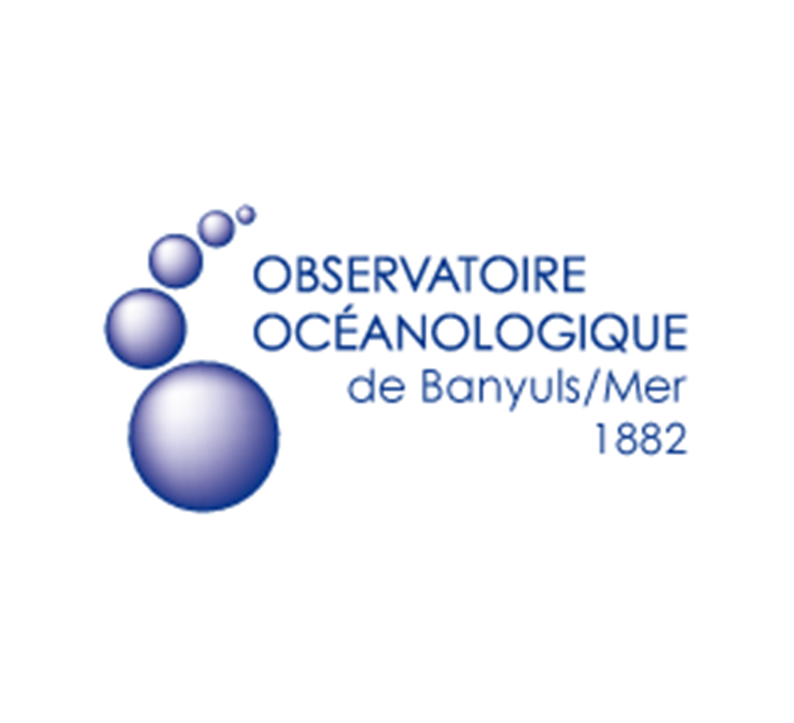 Oxomar report on biodegradation of oxo-biodegradable plastics in the marine environment